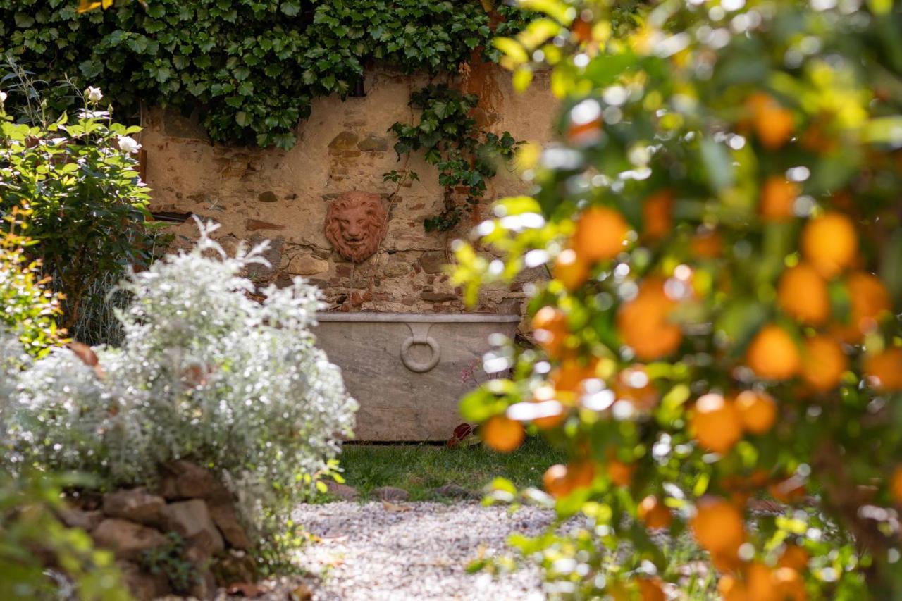Secret Garden Firenze B&B Dış mekan fotoğraf