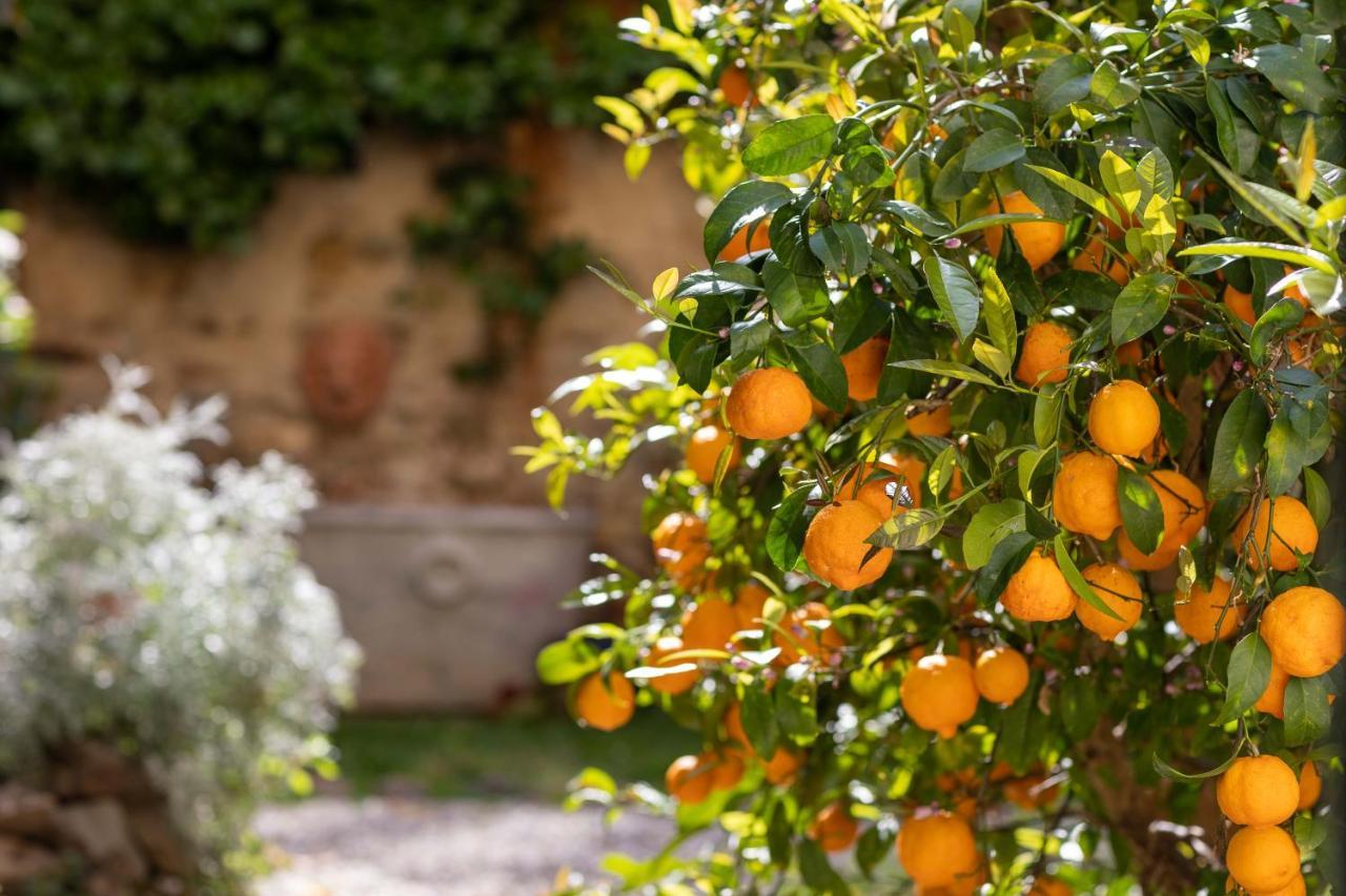 Secret Garden Firenze B&B Dış mekan fotoğraf