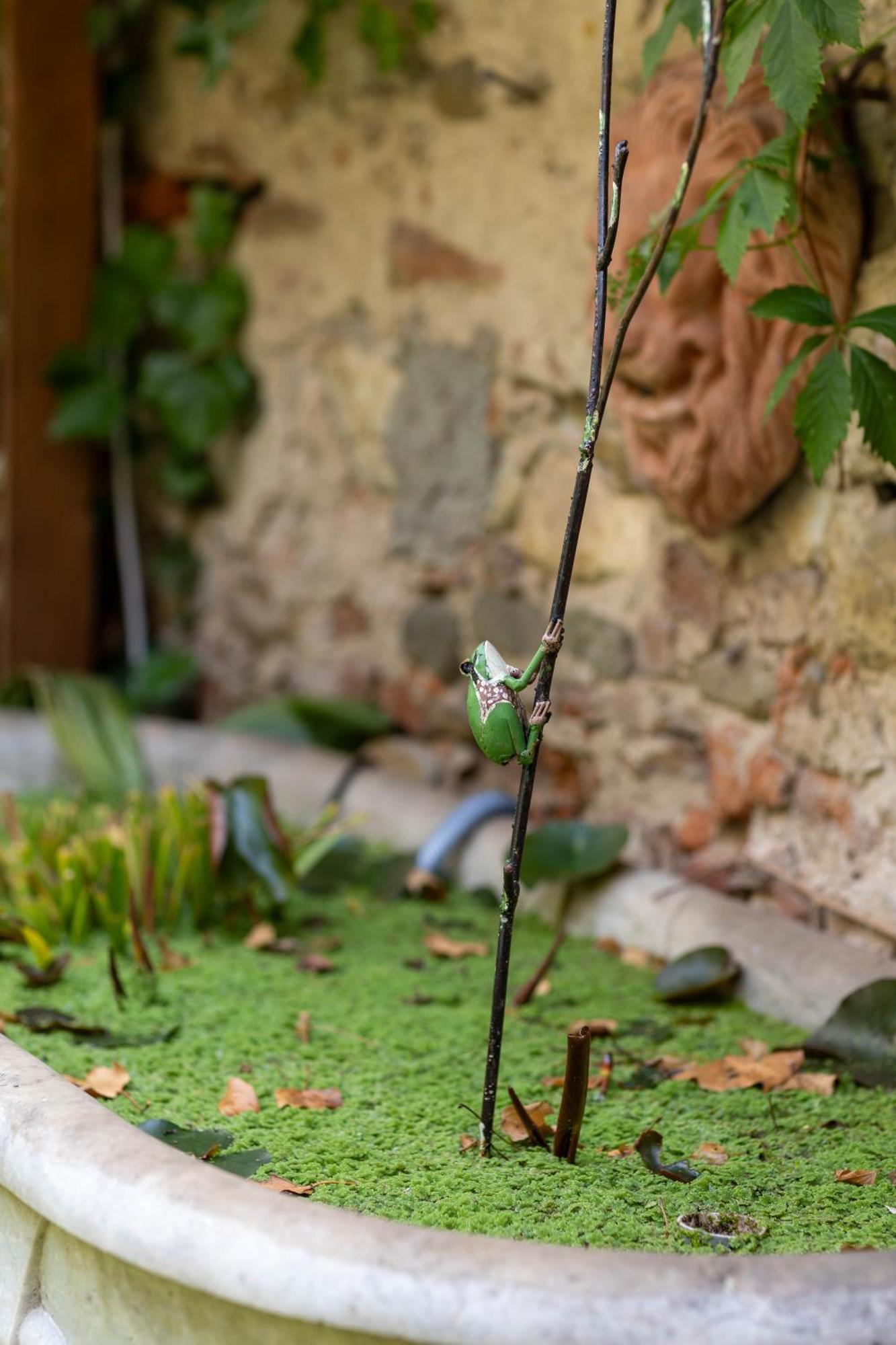 Secret Garden Firenze B&B Dış mekan fotoğraf