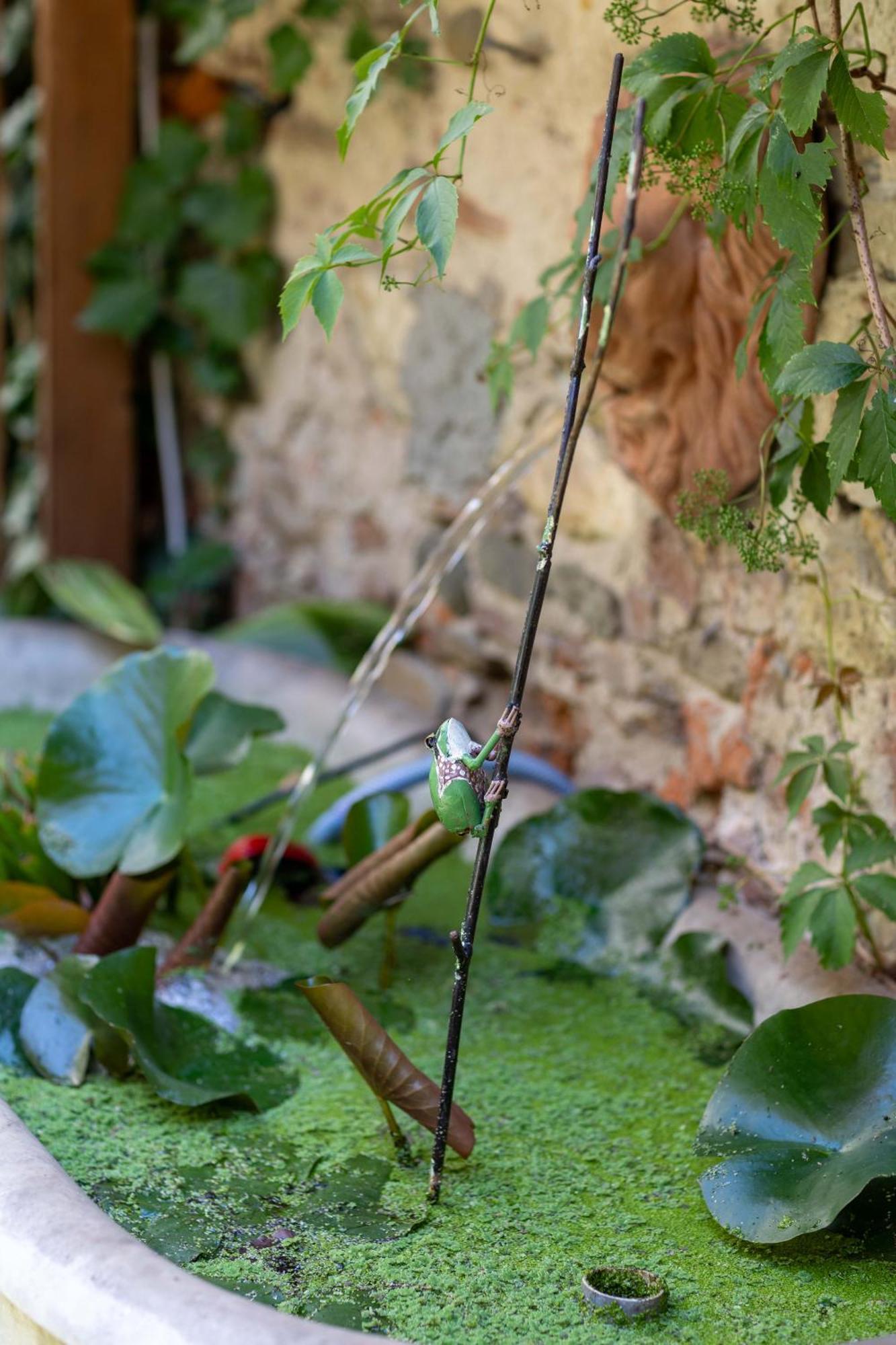 Secret Garden Firenze B&B Dış mekan fotoğraf